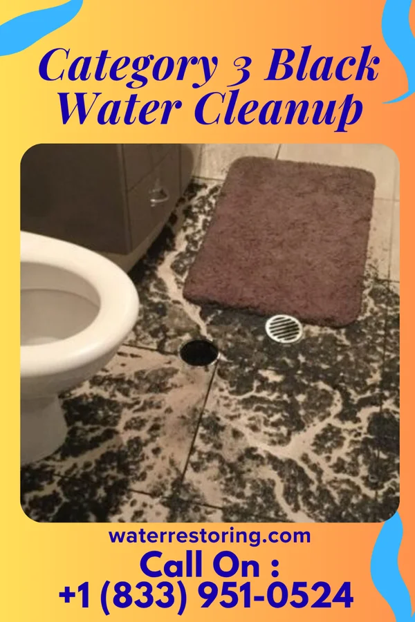 Category 3 Black Water Cleanup in Helena, AL